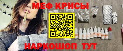 спиды Гай