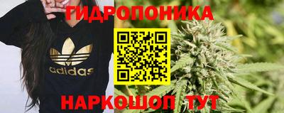 спиды Гай