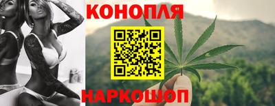 спиды Гай