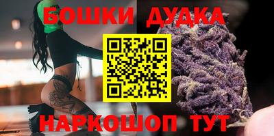 спиды Гай