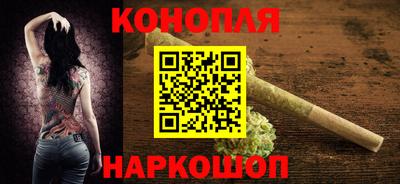 спиды Гай