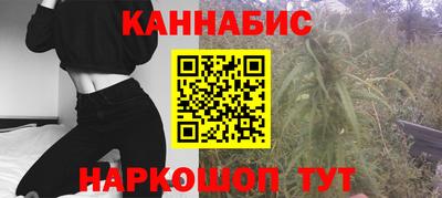 спиды Гай