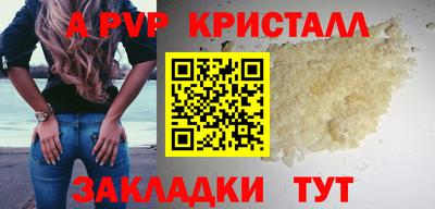 спиды Гай