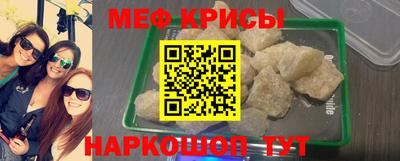 спиды Гай