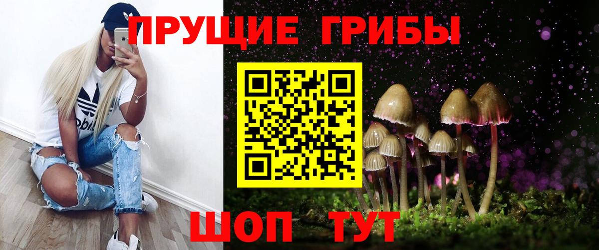 Михайловск  даркнет сайт  Вход с VPN  Псилоцибиновые грибы мухоморы 